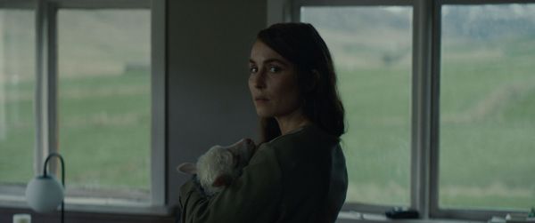 2021冰岛电影《羊崽》百度云资源「bd1024p1080pMp4中英字幕」云网盘下载